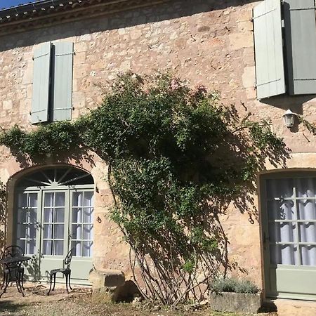 Domaine De La Durantie Duplex Vieux Chateau Castelnau-de-Montmiral Екстер'єр фото