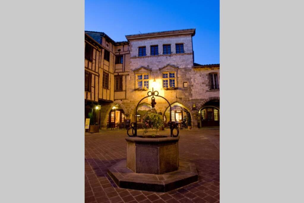 Domaine De La Durantie Duplex Vieux Chateau Castelnau-de-Montmiral Екстер'єр фото