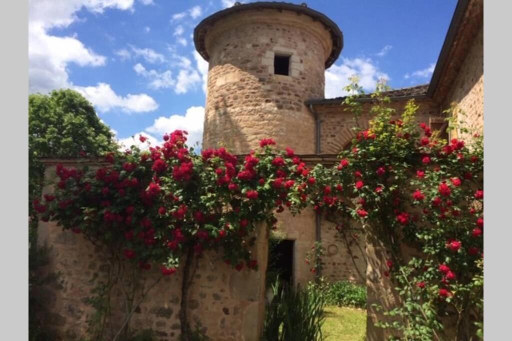 Domaine De La Durantie Duplex Vieux Chateau Castelnau-de-Montmiral Екстер'єр фото